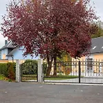 Am